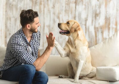 Happy,Guy,Sitting,On,A,Sofa,And,Looking,At,Dog